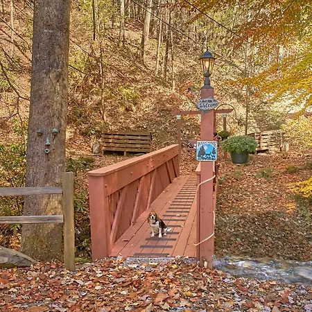 Cozy Creek Holiday Home